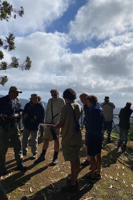 Madeira: Birdwatching - The Endemics - Itinerary Details