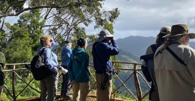 Madeira: Birdwatching - The Endemics - Frequently Asked Questions