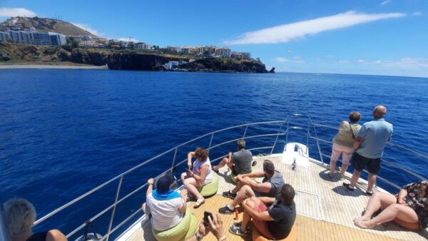 Madeira: Boat Trip With Lunch, Drinks and Snorkel - Directions