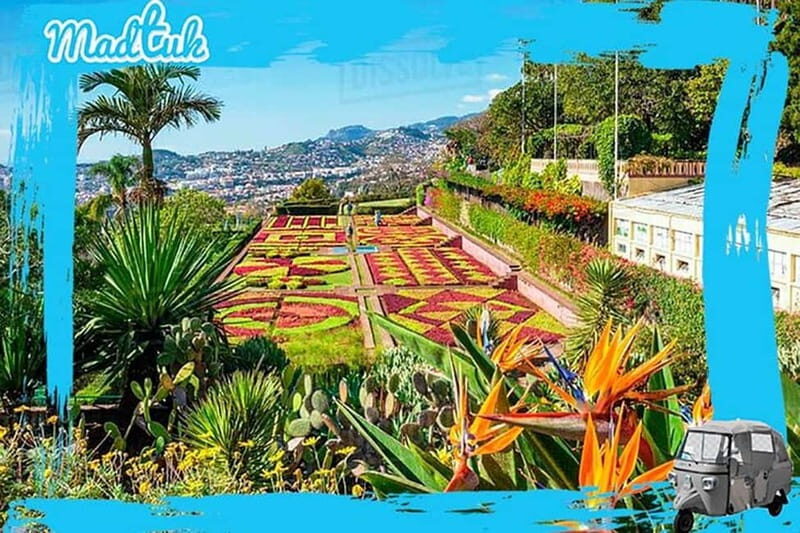 Madeira: Botanical Gardens + Old Town Tuk-Tuk Tour by MadTuk - Good To Know  