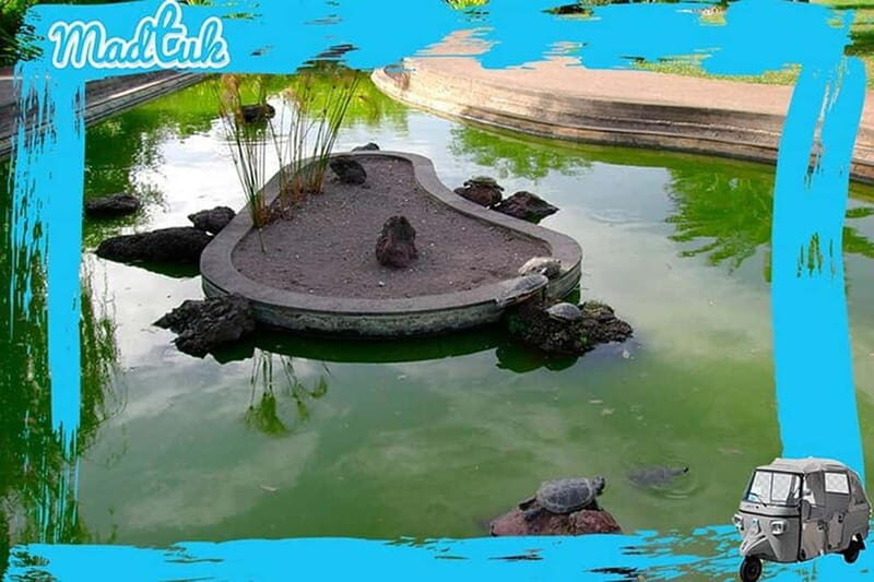 Madeira: Botanical Gardens + Old Town Tuk-Tuk Tour by MadTuk - An In-Depth Look at the Tour Experience