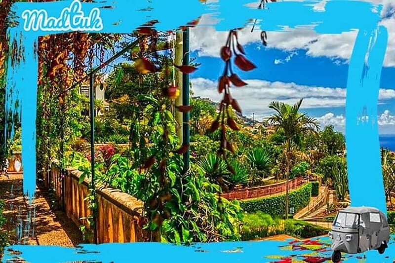 Madeira: Botanical Gardens + Old Town Tuk-Tuk Tour by MadTuk - Authentic Experience and Personal Insights