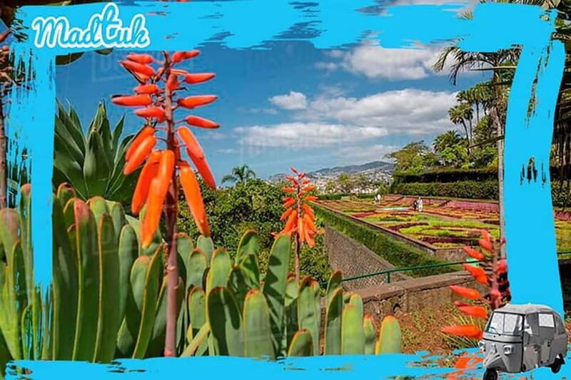 Madeira: Botanical Gardens + Old Town Tuk-Tuk Tour by MadTuk - FAQ