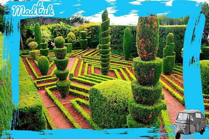 Madeira: Botanical Gardens + Old Town Tuk-Tuk Tour by MadTuk - Good To Know
