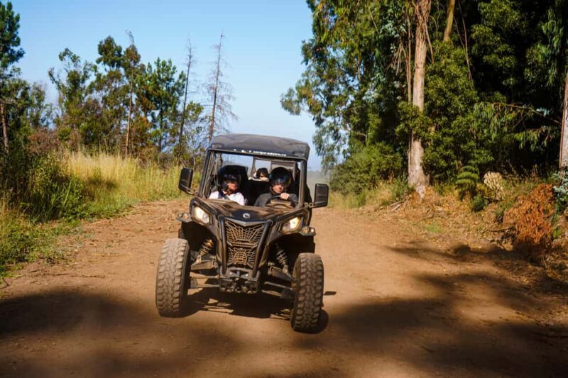 Madeira: Buggy FunTrip - Guided Off-Road Adventure with a Can-Am Buggy - The Itinerary Breakdown