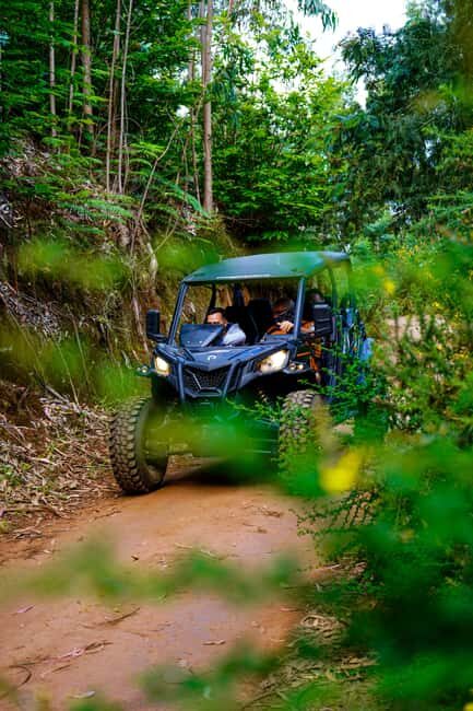 Madeira: Buggy FunTrip - Guided Off-Road Adventure with a Can-Am Buggy - The Value of This Tour