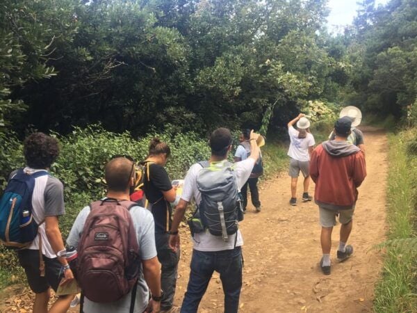 Madeira: Butterfly Watching - Monitoring and Recording