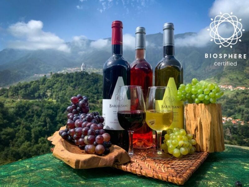 Madeira: Cabo Girão, Wine Tasting, & Serra d'Água Jeep Tour - Why It’s a Great Choice