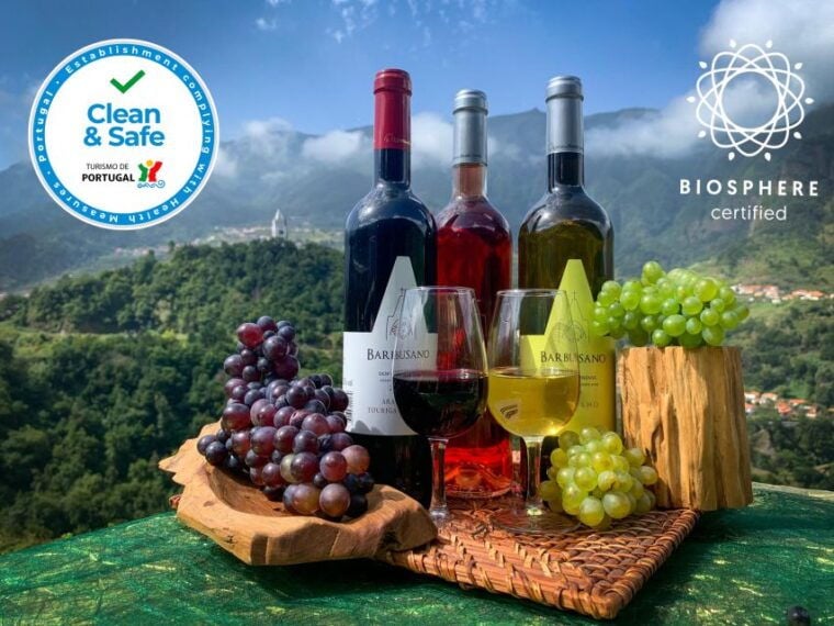Madeira: Cabo Girão, Wine Tasting, & Serra d'Água Jeep Tour - FAQ: Your Practical Questions Answered