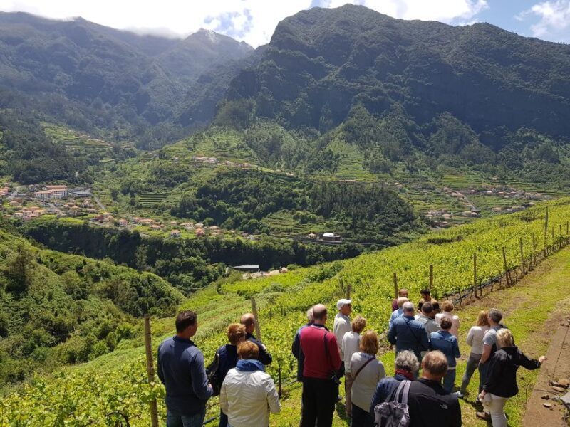 Madeira: Cabo Girão, Wines Experience and Dolphins Watching - Final Thoughts