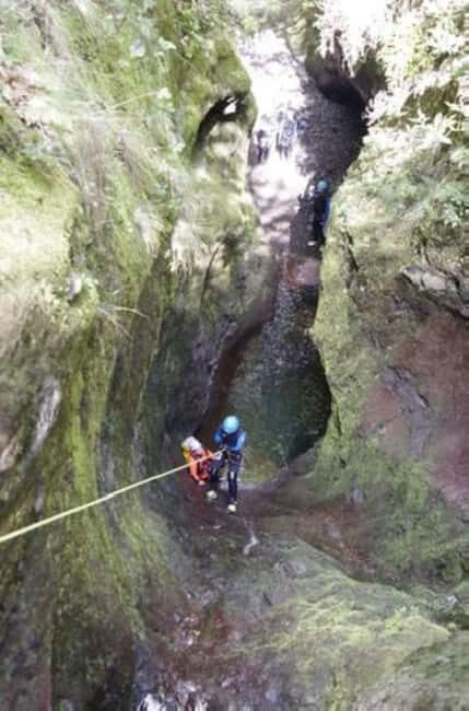 Madeira: Canyoning Adventure Level 1 - Why This Tour Is a Great Choice