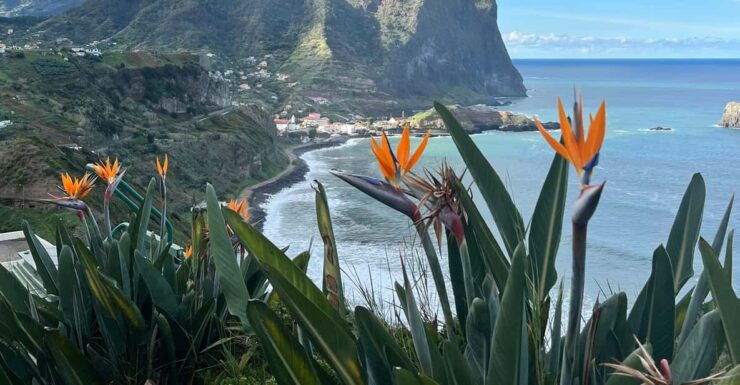 Madeira: Cliff Hanger Vereda Larano Hike Machico - Itinerary and Highlights