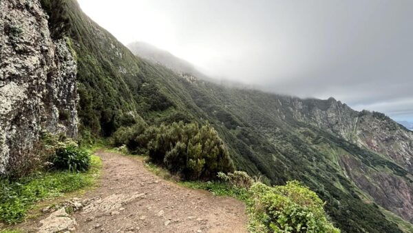Madeira: Cliff Hanger Vereda Larano Hike Machico - Booking and Cancellation Policy