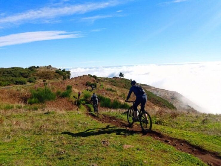 Madeira Cross Country Tour Mountain Bike Experience - Experience Highlights and Customization