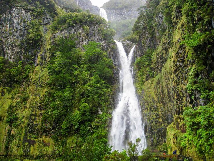 Madeira Day Trip: Levada Walk in the Rabaçal Valley - Activity Details
