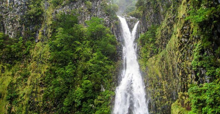 Madeira Day Trip: Levada Walk in the Rabaçal Valley - Experience Highlights