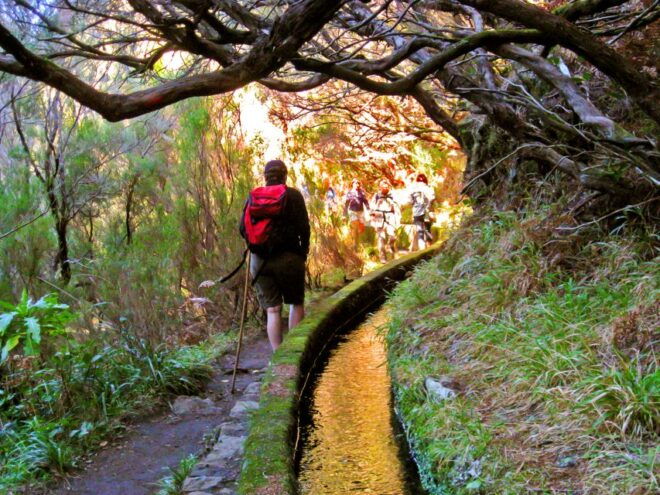 Madeira Day Trip: Levada Walk in the Rabaçal Valley - Reserve Now & Pay Later