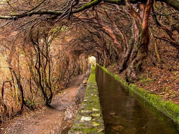 Madeira Day Trip: Levada Walk in the Rabaçal Valley - Tips and Recommendations