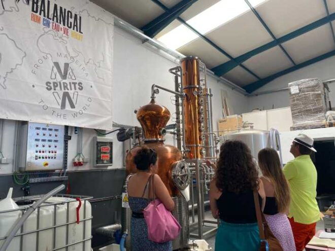 Madeira: Distilleries - Experience Highlights