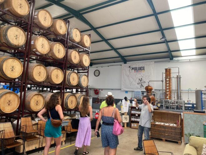 Madeira: Distilleries - Spirits Tasting