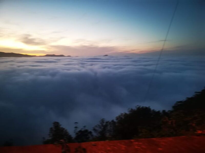 Madeira E-Buggy Adventure: 4x4 thrill & epic views! Book now - Good To Know