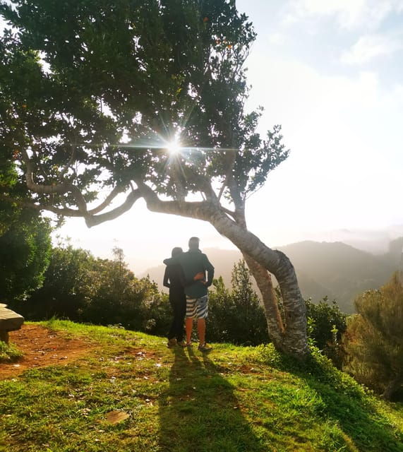 Madeira E-Buggy Adventure: 4x4 thrill & epic views! Book now - What to Expect from the Madeira E-Buggy Adventure