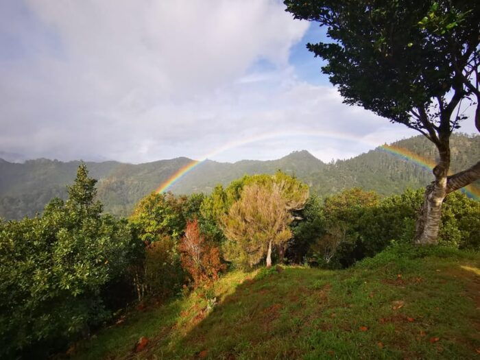 Madeira E-Buggy Adventure: 4x4 thrill & epic views! Book now - Final thoughts