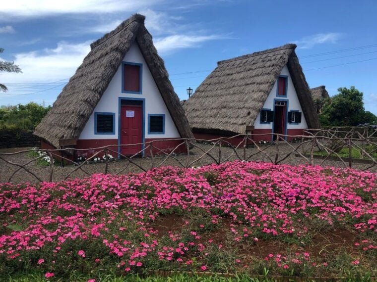 Madeira: East Coast, Sao Lourenço & Local farmers' market - Who Will Love This Tour?