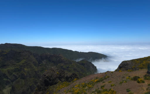 Madeira East Island Highlights tour with Rum tastings - Mountain views and rum in one day