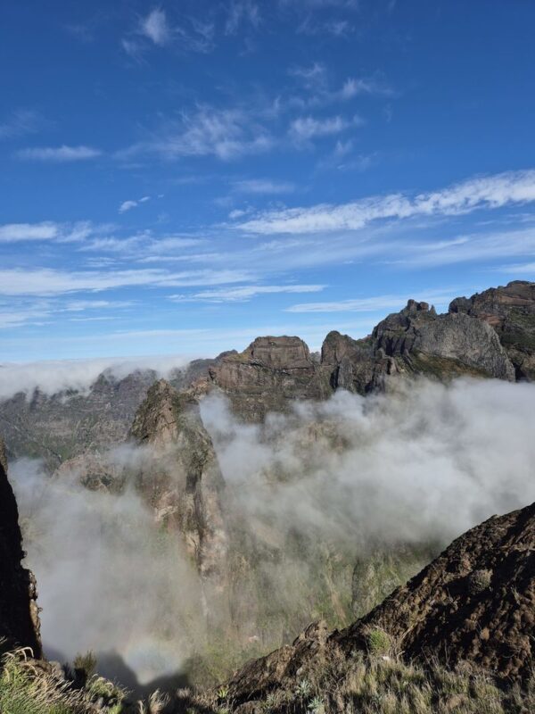 Madeira East Island Highlights tour with Rum tastings - Booking details worth checking