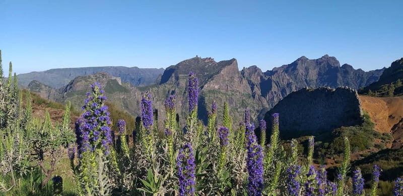 Madeira East Island Tour and Levada Walk - Exploring Madeira’s East Coast: An In-Depth Review  