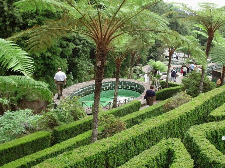 Madeira East Island Tour and Levada Walk - Activity Details and Booking