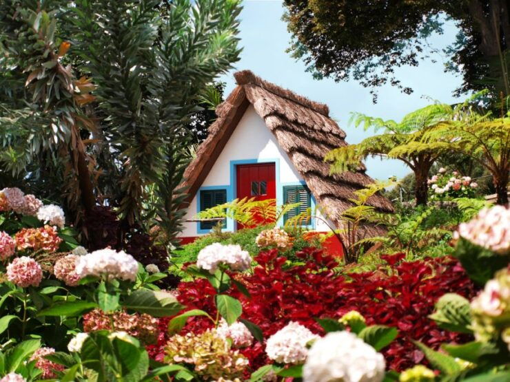 Madeira East Island Tour and Levada Walk - Highlights and Experiences