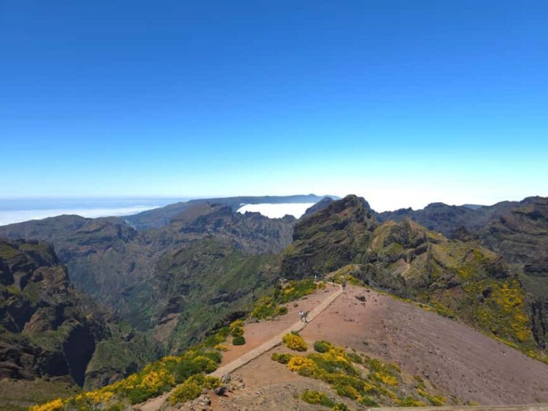 Madeira: East Island Tour with Rum Tasting - The Sum Up