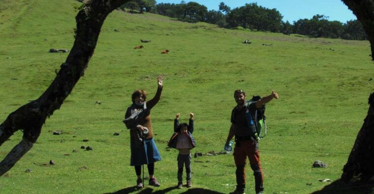 Madeira: Fanal Forest Guided Hiking Tour - FAQ