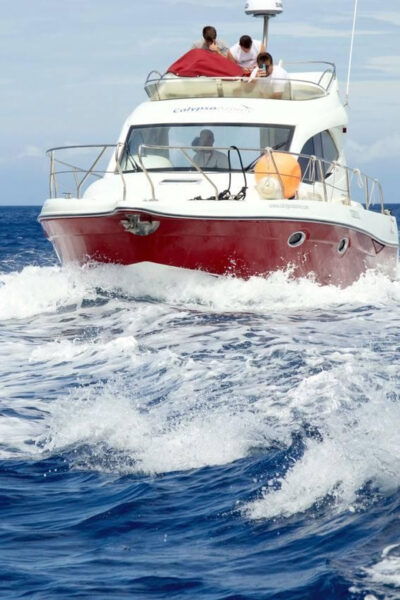 Madeira: Fishing - Personalized Attention