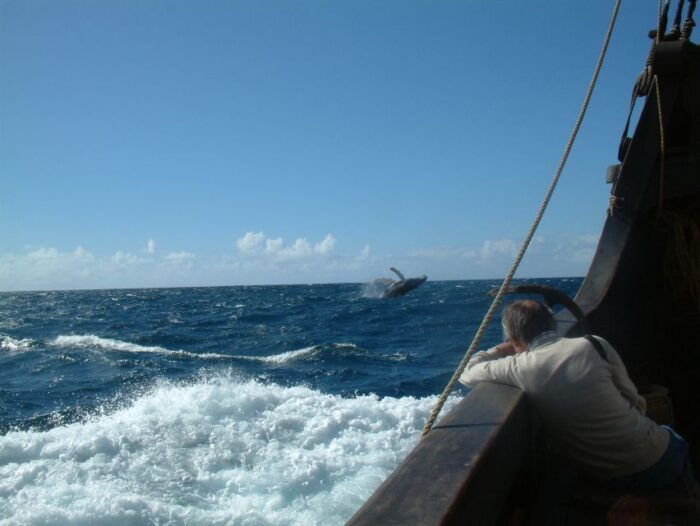 Madeira: Flag Ship Tour aboard Santa Maria de Colombo - The Sum Up