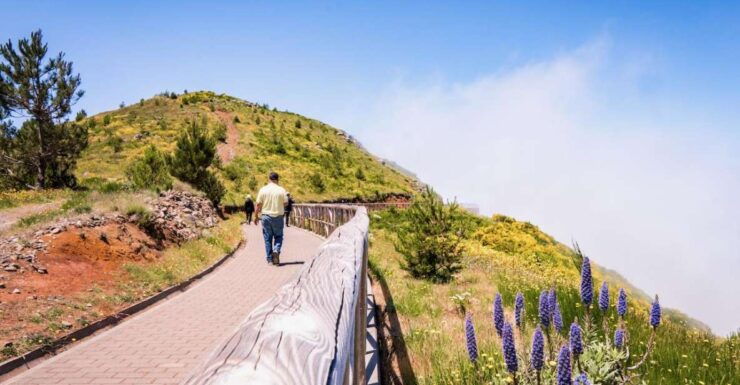 Madeira : Full Day Adult Only East 4x4 Tour - Good To Know