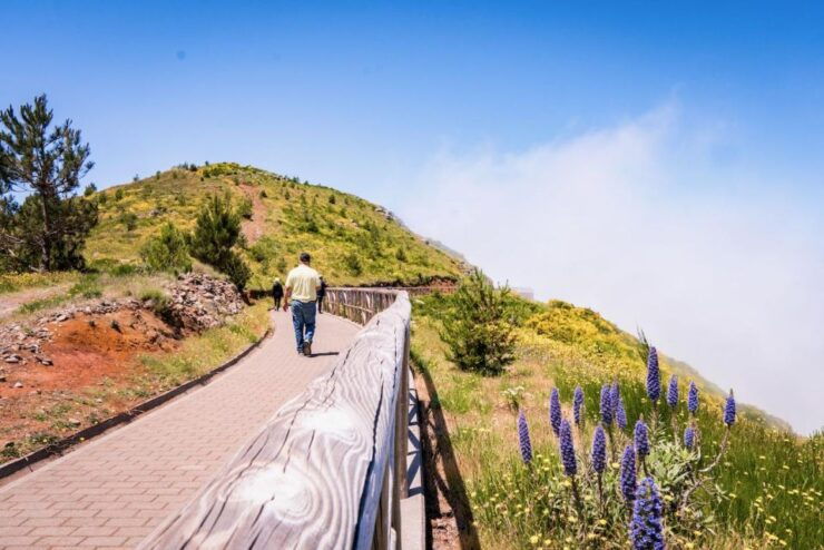 Madeira : Full Day Adult Only East 4x4 Tour - Tour Details