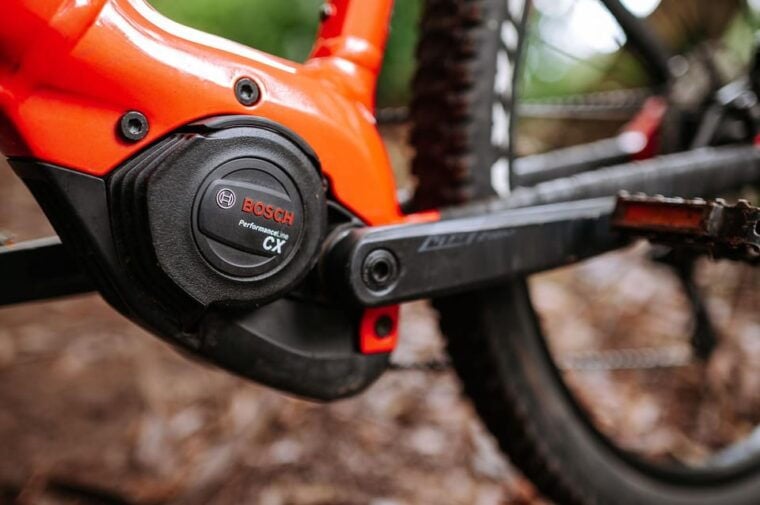 Madeira: Full Day E-Bike Rental - Practical Details and Considerations