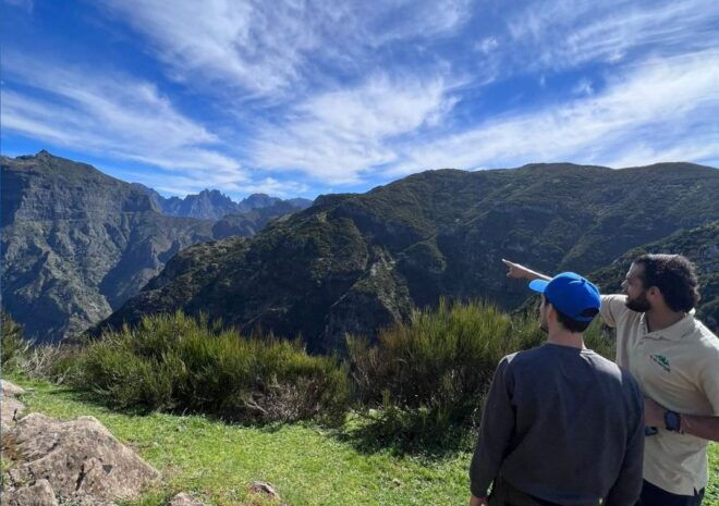 Madeira: Full-Day Jeep Tour With Guide and Pickup - Tour Highlights