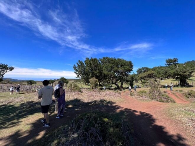 Madeira: Full-Day Jeep Tour With Guide and Pickup - Additional Information