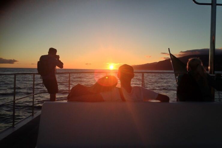 Madeira: Funchal Sunset Tour by Catamaran - Activity Details