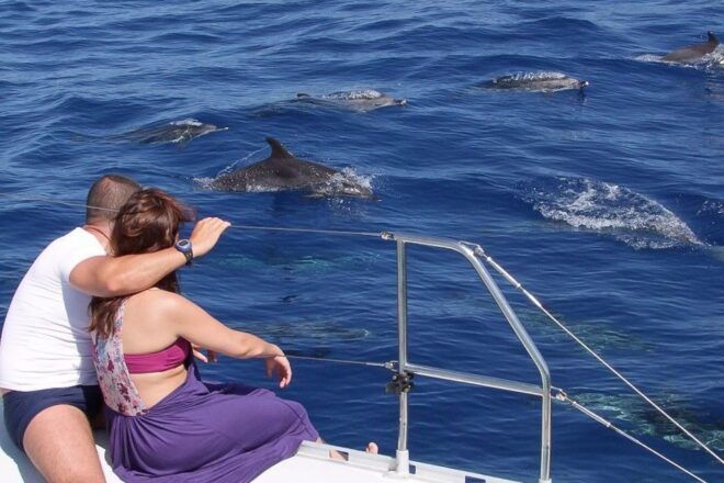 Madeira: Funchal Sunset Tour by Catamaran - Full Description