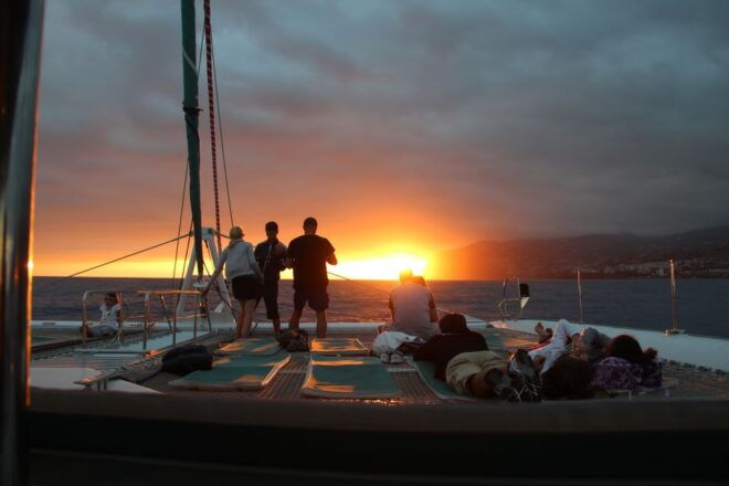 Madeira: Funchal Sunset Tour by Catamaran - Review Summary