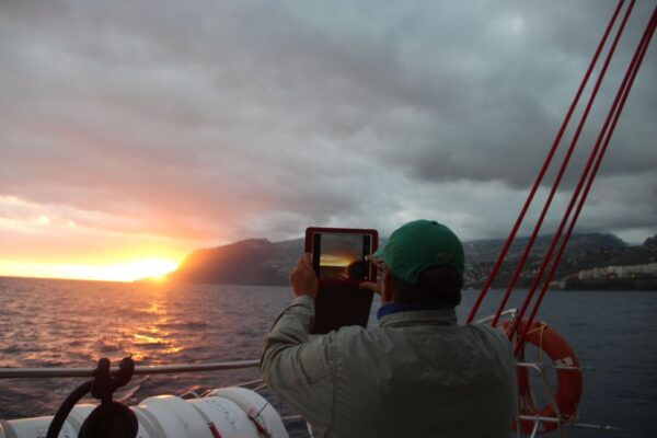 Madeira: Funchal Sunset Tour by Catamaran - The Sum Up