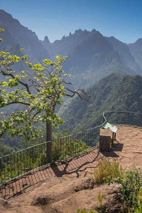 Madeira Funchal:East Tour Pico Arieiro & Santana&Laurissilva - Itinerary Highlights