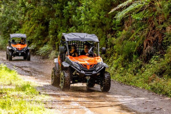 Madeira: Funduras Trail Off-Road Tour - Customer Feedback and Ratings