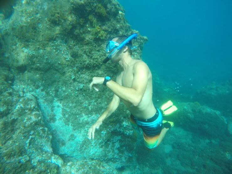 Madeira: Garajau Nature Reserve Kayak and Snorkel Tour - Activity Details and Flexibility