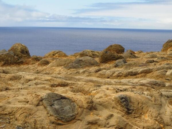 Madeira: Geology The Origins Tour - Frequently Asked Questions